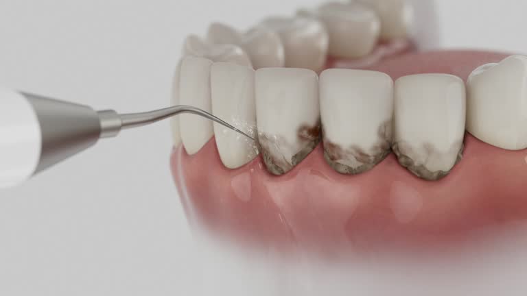 Reliable Dental contractor in Corinth, MS by Dentist Open Now